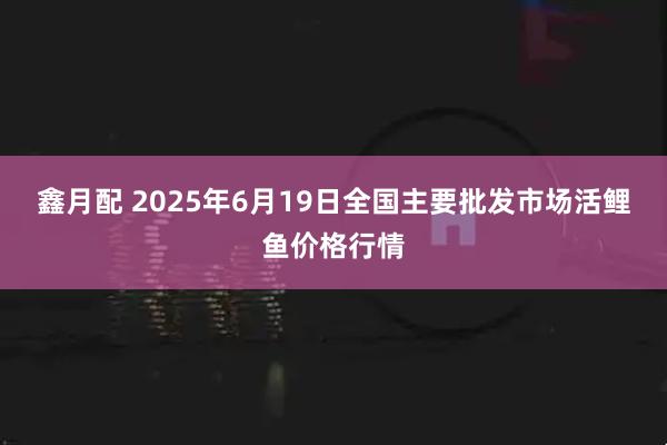 鑫月配 2025年6月19日全国主要批发市场活鲤鱼价格行情