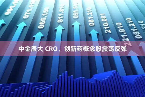 中金辰大 CRO、创新药概念股震荡反弹