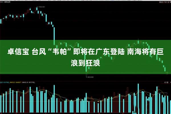 卓信宝 台风“韦帕”即将在广东登陆 南海将有巨浪到狂浪