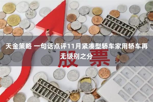 天金策略 一句话点评11月紧凑型轿车家用轿车再无级别之分