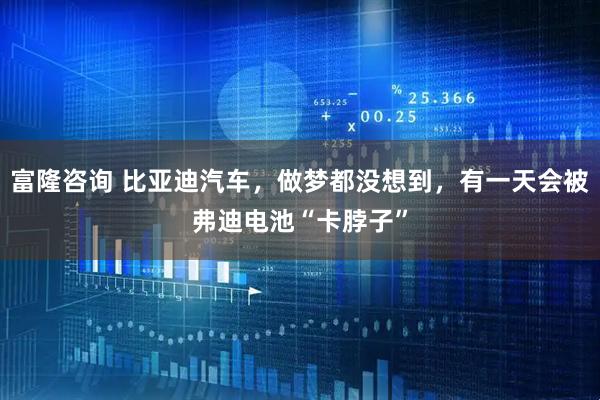 富隆咨询 比亚迪汽车，做梦都没想到，有一天会被弗迪电池“卡脖子”
